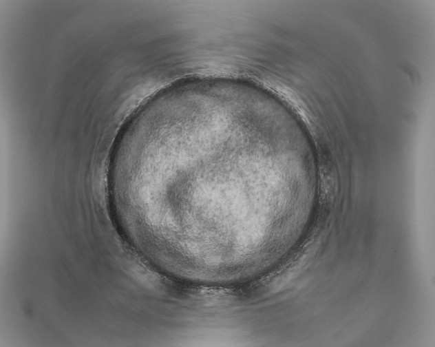 X0000111680487200907311223