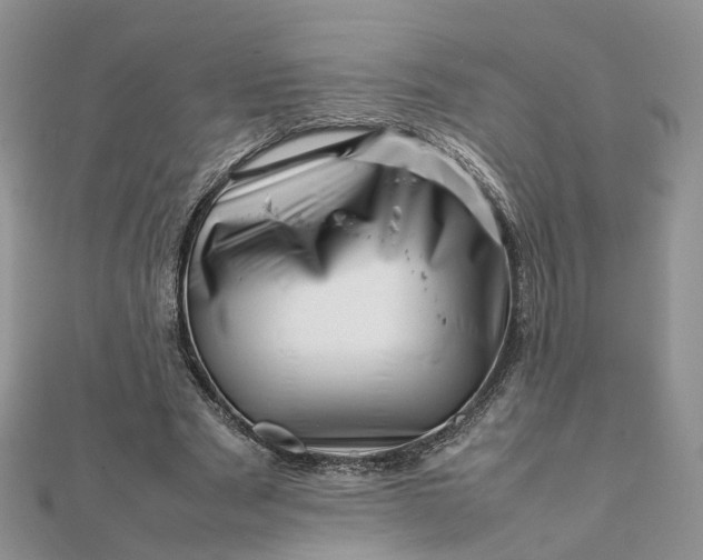 X0000111680489200907311223