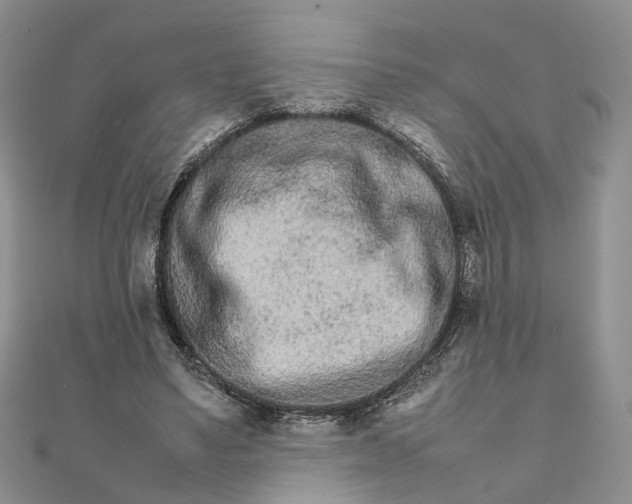 X0000111680491200907311222