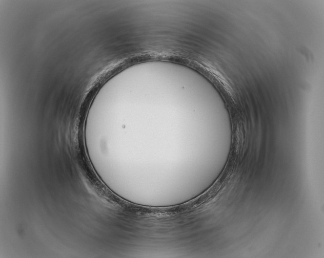 X0000111680492200907311222