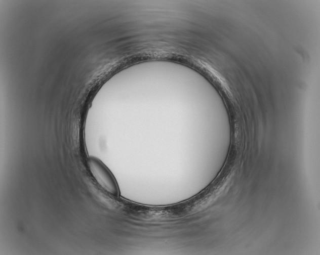 X0000111680493200907311222