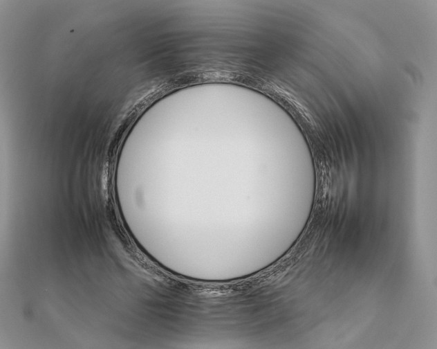 X0000111680494200907311222