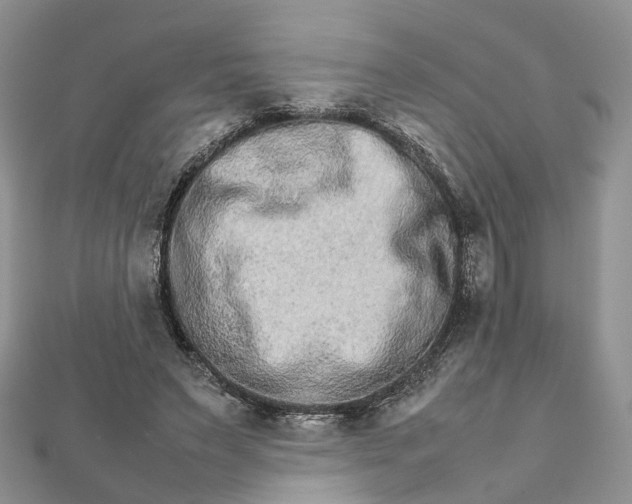 X0000111680495200907311222