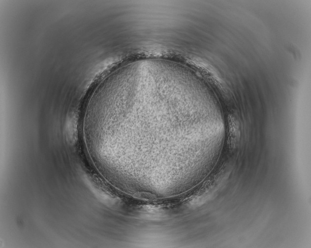 X0000111680496200907311222