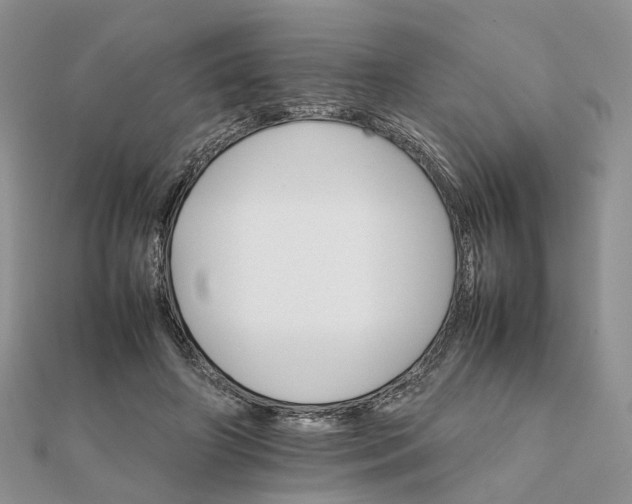 X0000111680498200907311222