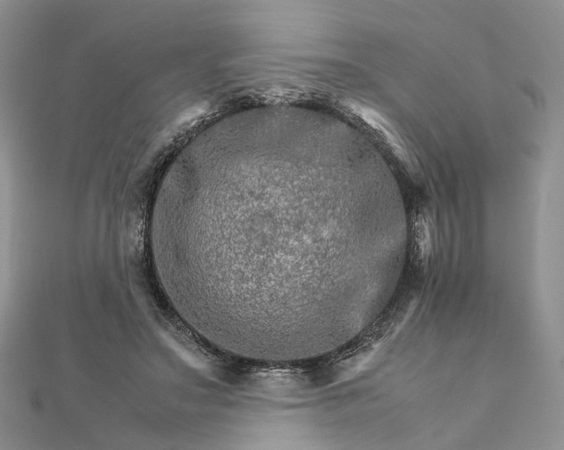 X0000111680499200907311222