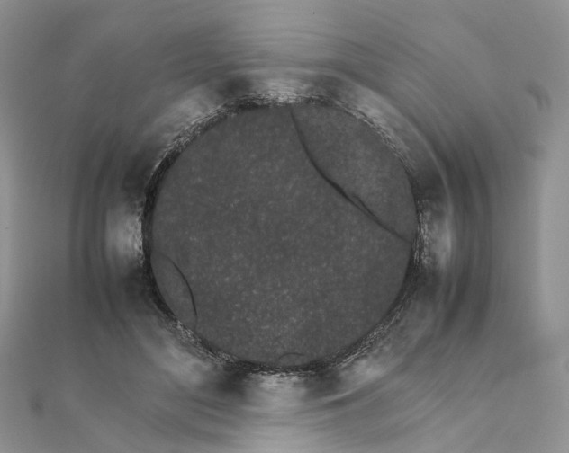 X0000111680500200907311222