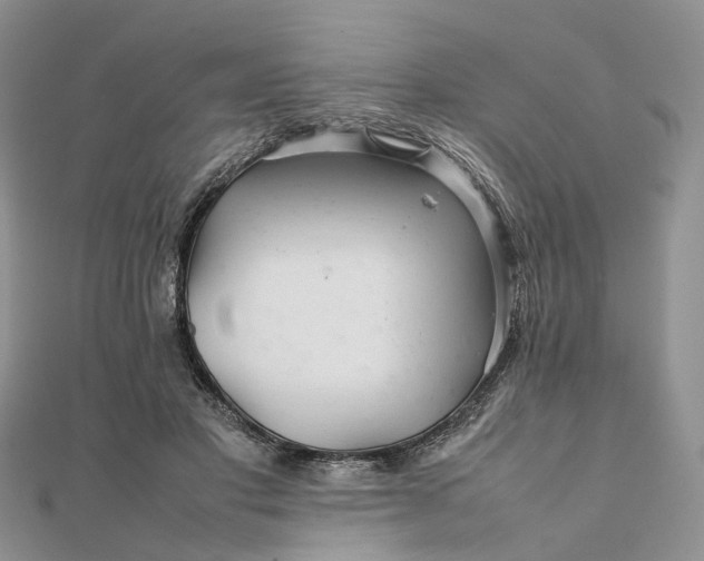 X0000111680501200907311222