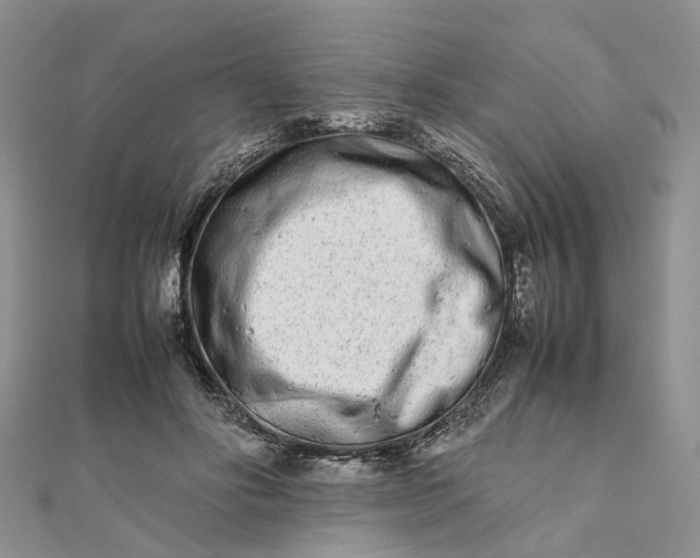 X0000111680502200907311222