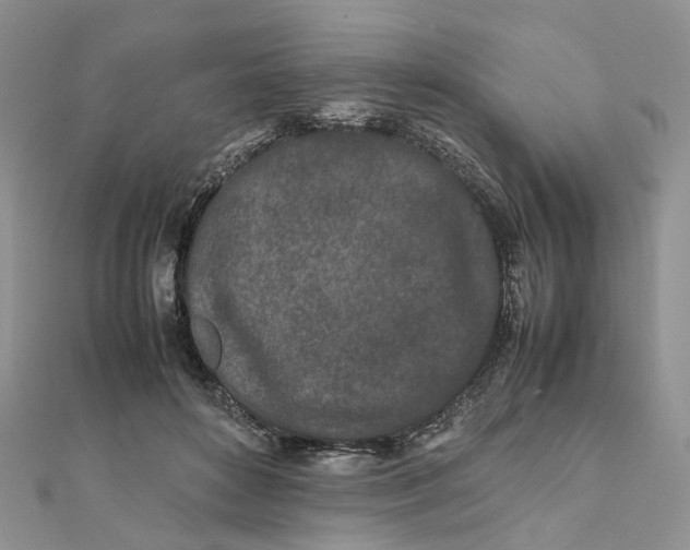 X0000111680504200907311222