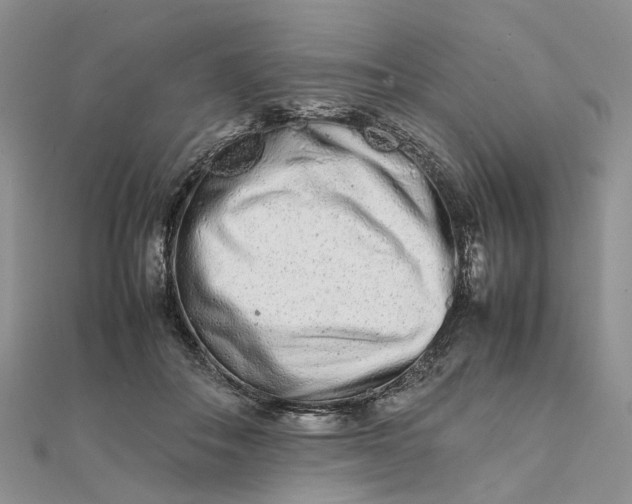 X0000111680506200907311222