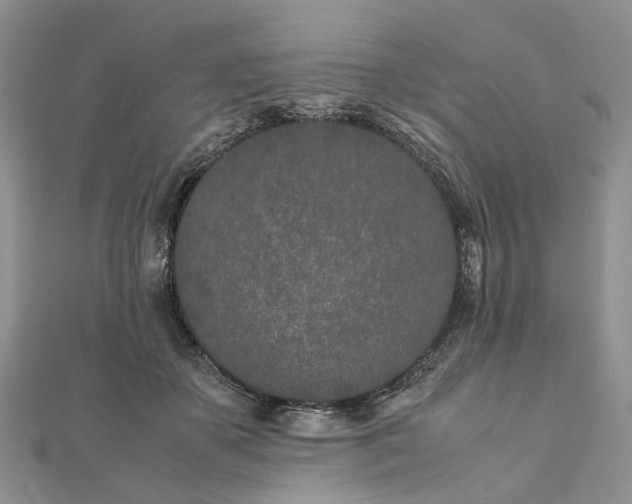 X0000111680507200907311222