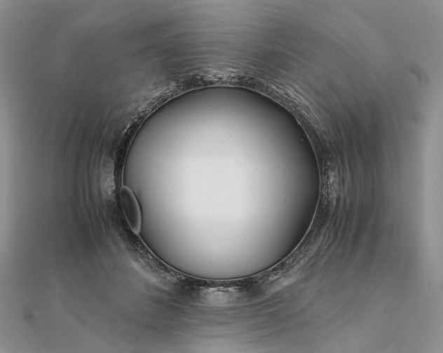 X0000111680508200907311222