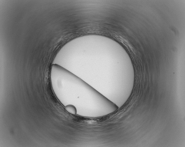 X0000111680509200907311222