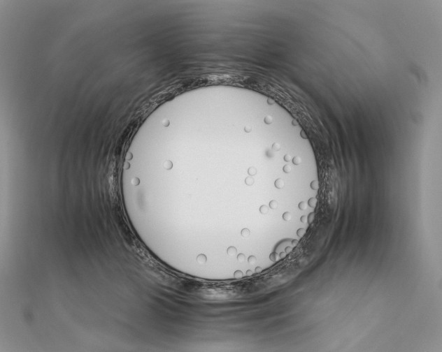 X0000111680510200907311222