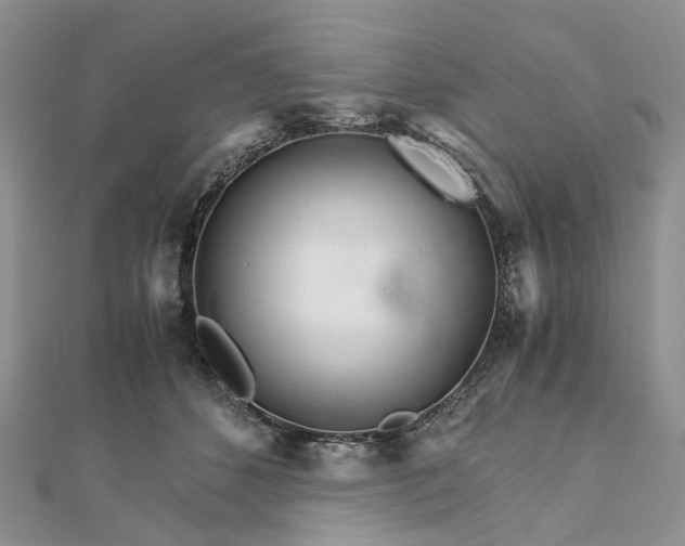 X0000111680512200907311222