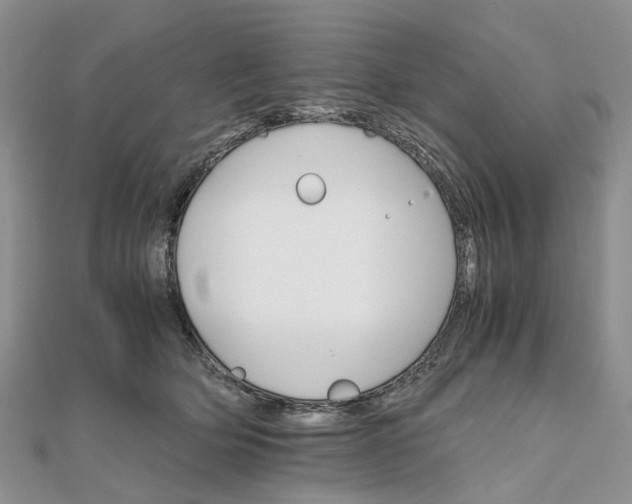 X0000111680514200907311222