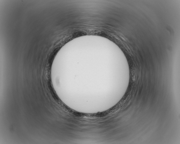 X0000111680515200907311222