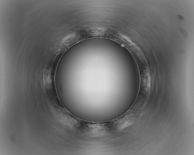 X0000111680516200907311222