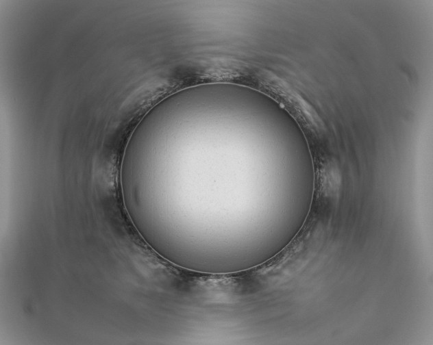 X0000111680517200907311222