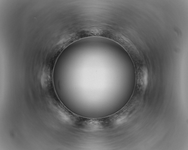 X0000111680518200907311222