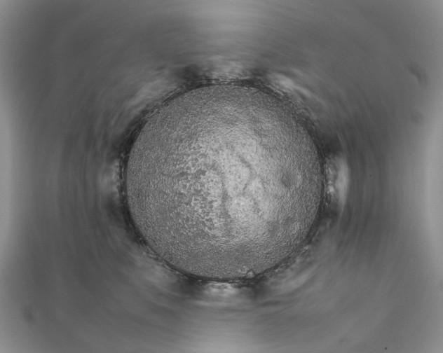 X0000111680519200907311222