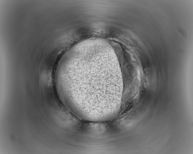 X0000111680520200907311222