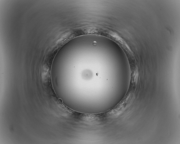 X0000111680521200907311222