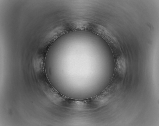 X0000111680522200907311222