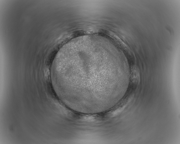 X0000111680523200907311222