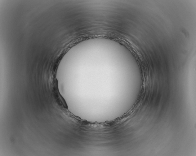 X0000111680524200907311222