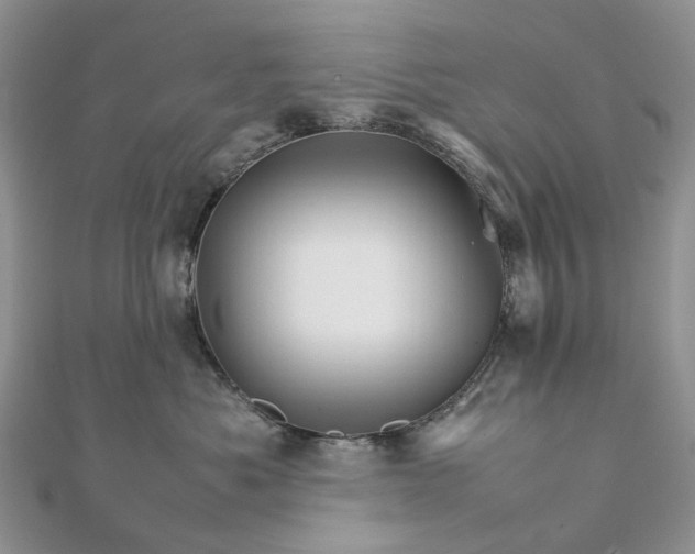 X0000111680525200907311222