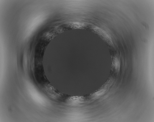 X0000111680526200907311222