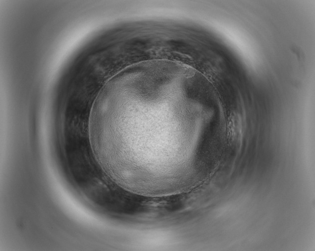 X0000111680527200907311222