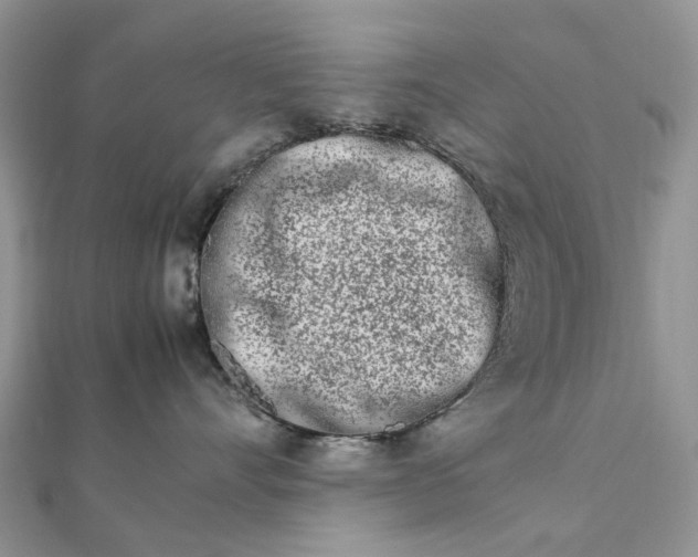 X0000111680528200907311222