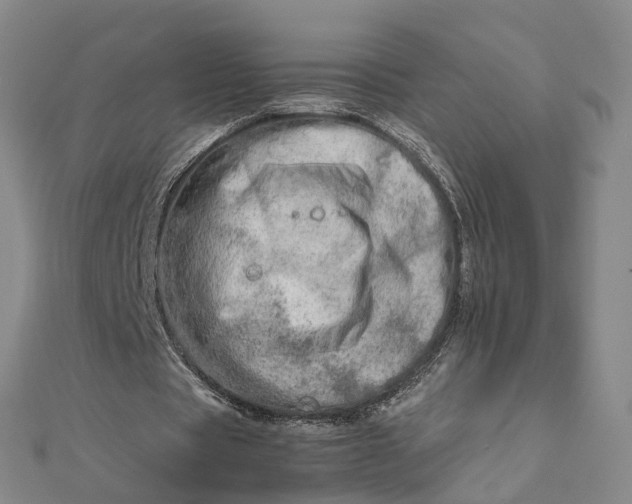 X0000111680529200907311221