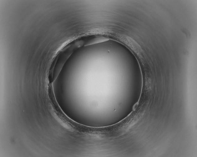 X0000111680530200907311221