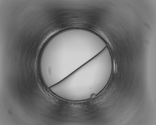 X0000111680531200907311221