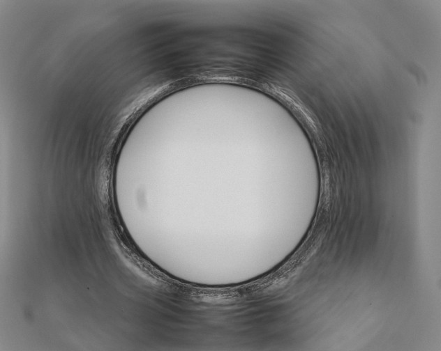 X0000111680533200907311221