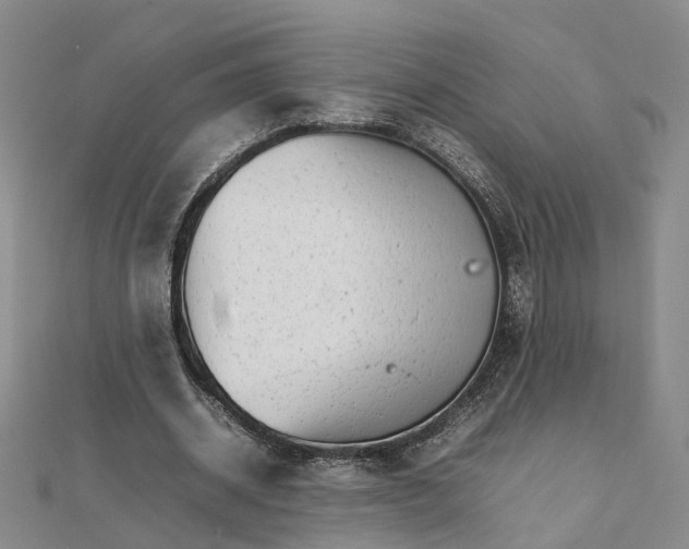 X0000111680534200907311221