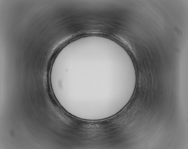 X0000111680535200907311221