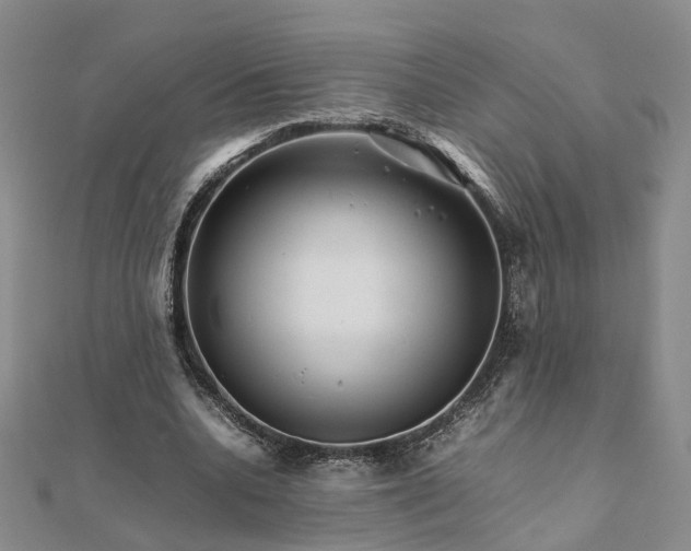 X0000111680536200907311221