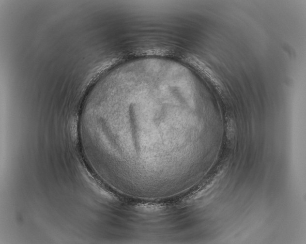 X0000111680537200907311221