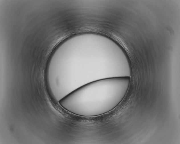 X0000111680538200907311221