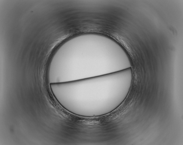 X0000111680539200907311221