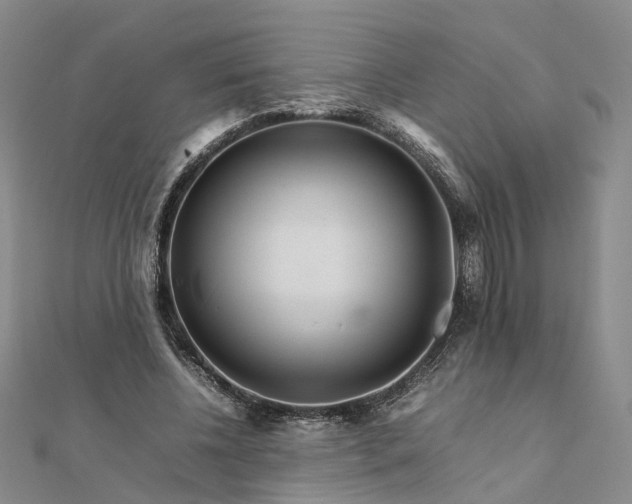 X0000111680540200907311221