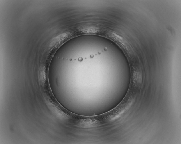 X0000111680541200907311221