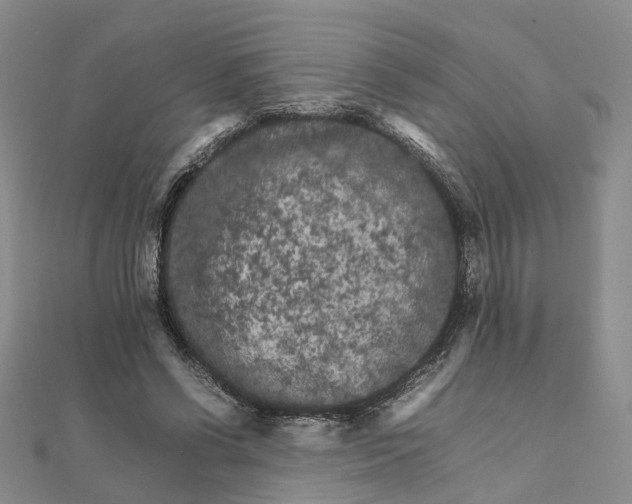 X0000111680542200907311221