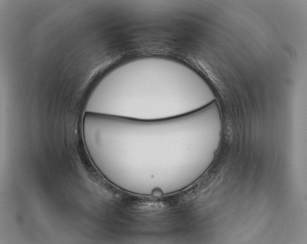 X0000111680543200907311221