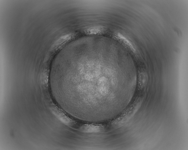 X0000111680545200907311221